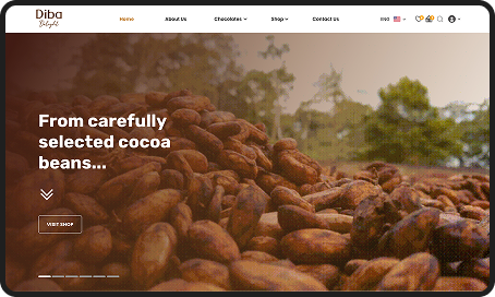 Diba Foods Website