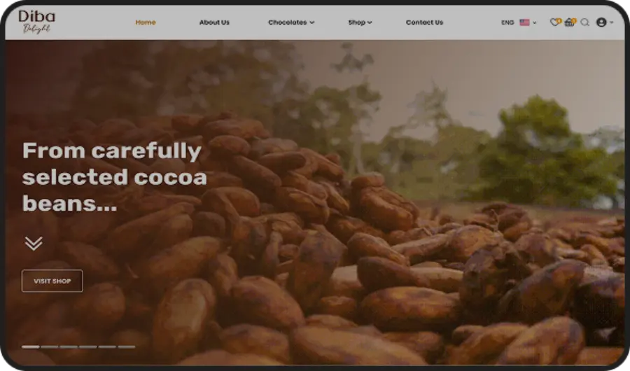 Diba Foods Chocolate Website